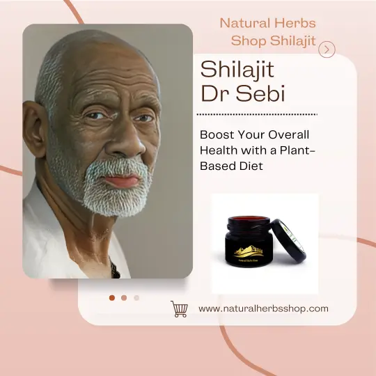 Shilajit-Dr-Sebi.webp Shilajit Dr Sebi (Alfredo Bowman) - Image 1