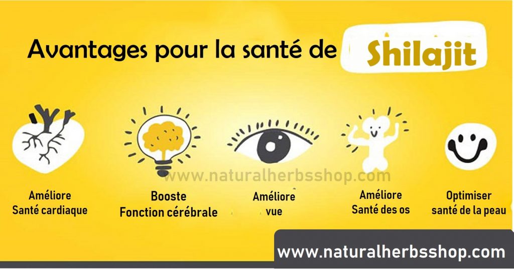 Avantages pour la sante de Shilajit
