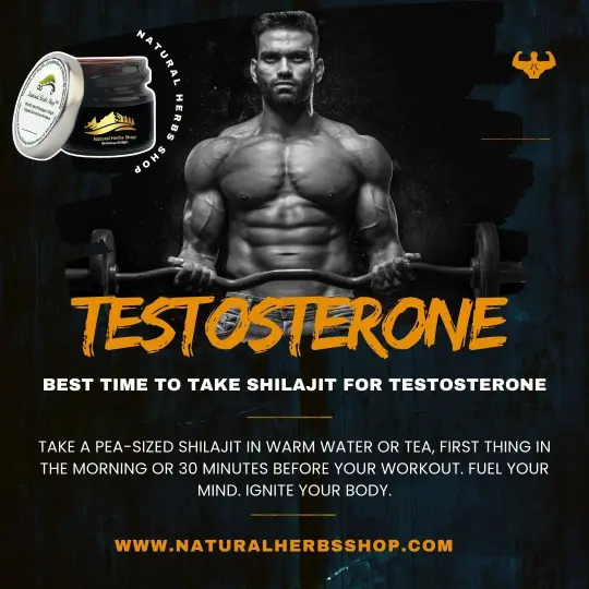 What is best time to take Shilajit for testosterone?
