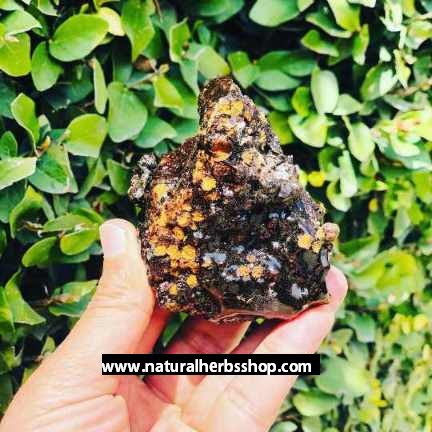 Natural Herbs Shop Shilajit raw stone