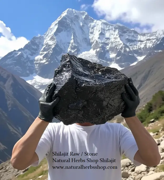 Shilajit Raw - Natural Herbs Shop Shilajit Shilajit Raw - Natural Herbs Shop Shilajit