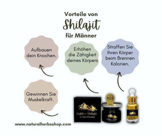 Shilajit Vorteile für Männer