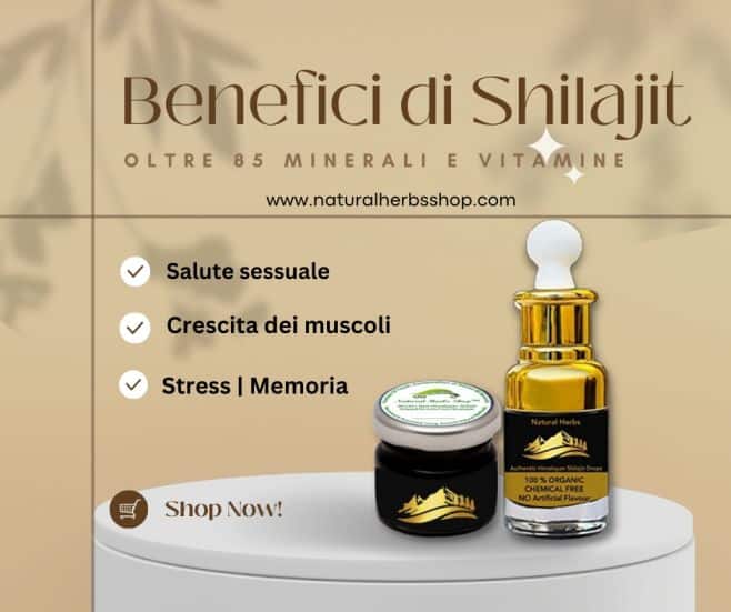 Shilajit benefici per gli uomini
