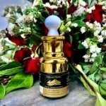 Shilajit liquid drops