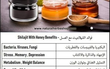 Shilajit with honey useful properties ما هو شيلاجيت؟ فوائد الشيلاجيت بالعسل