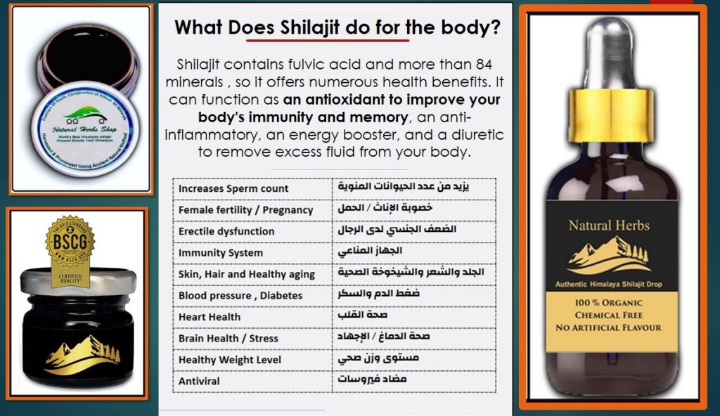 What Does Shilajit do for the body ? Salajeet Benefits