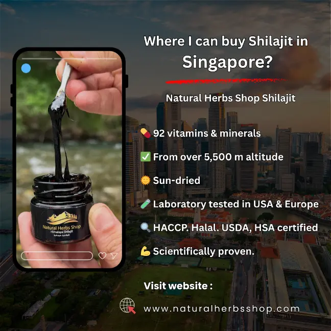 Where I can buy Shilajit in Singapore Where I can buy Shilajit in Singapore