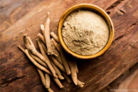ashwagandha-benefits ما هو اشواغاندا؟ ما هي فوائد اشواغاندا