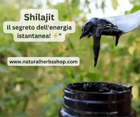 shilajit cos'è