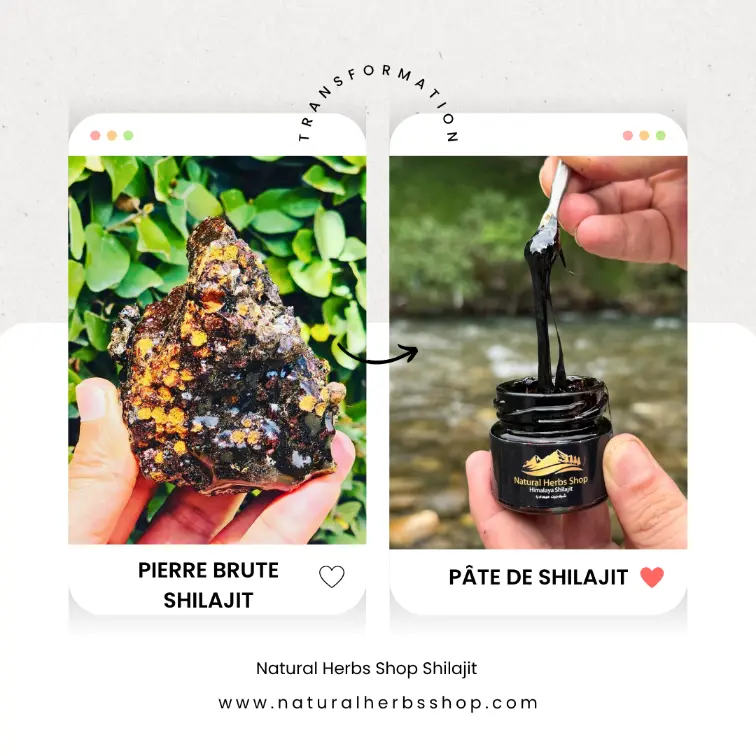 pierre brute Shilajit Natural herbs shop