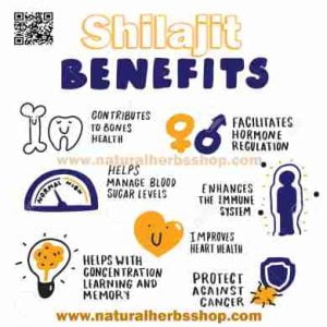 shilajit benefits Natural herbs shop