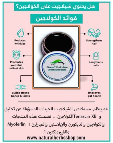 هل-يحتوي-شيلاجيت-على-الكولاجين-1