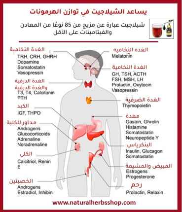 يساعد الشيلاجيت في توازن الهرمونات يجب أن تعرف فوائد الشيلاجيت للرج 11